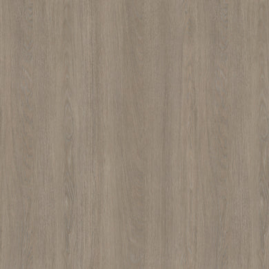 H 3146 ST19 HRAST LORENZO BEZ