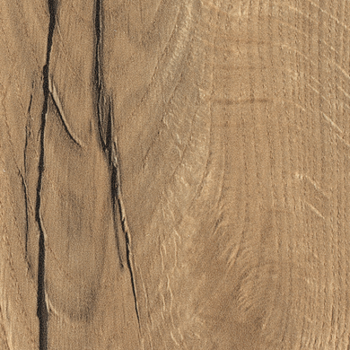 H 1180 ST37 HRAST HALIFAX NATUR