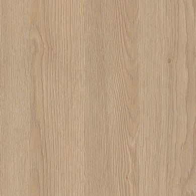 H 3309 ST28 HRAST GLADSTONE PESAK