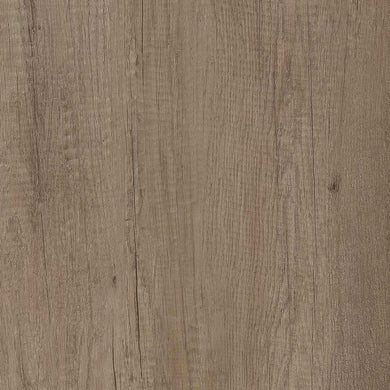 H 3332 ST10 HRAST NEBRASCA SIVI